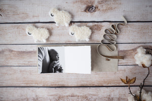 Little QT Journal mini fine art photo albums