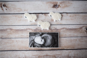 Little QT mini photo albums with hand torn deckled page edges